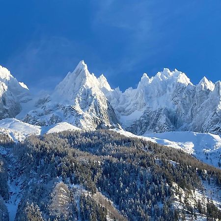 Chamonix Superbe Appartement Vue Mont Blanc エクステリア 写真