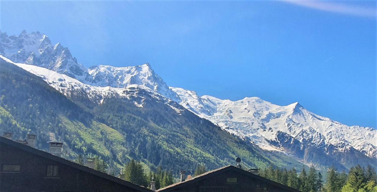 Chamonix Superbe Appartement Vue Mont Blanc エクステリア 写真