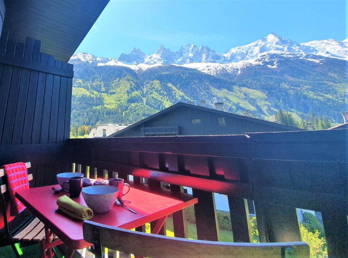 Chamonix Superbe Appartement Vue Mont Blanc エクステリア 写真