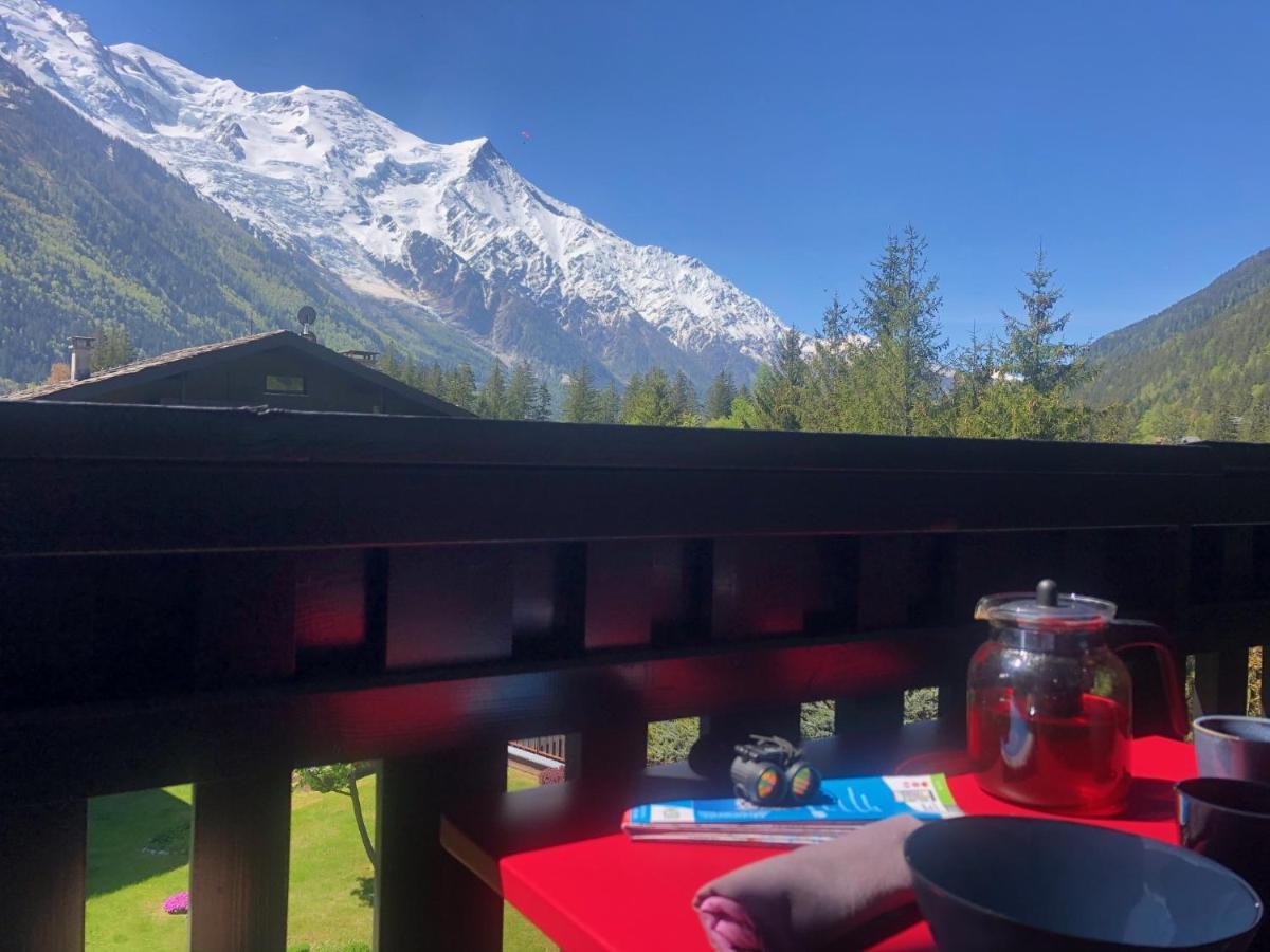 Chamonix Superbe Appartement Vue Mont Blanc エクステリア 写真