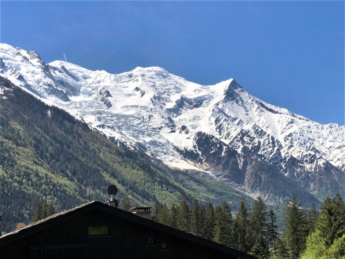 Chamonix Superbe Appartement Vue Mont Blanc エクステリア 写真