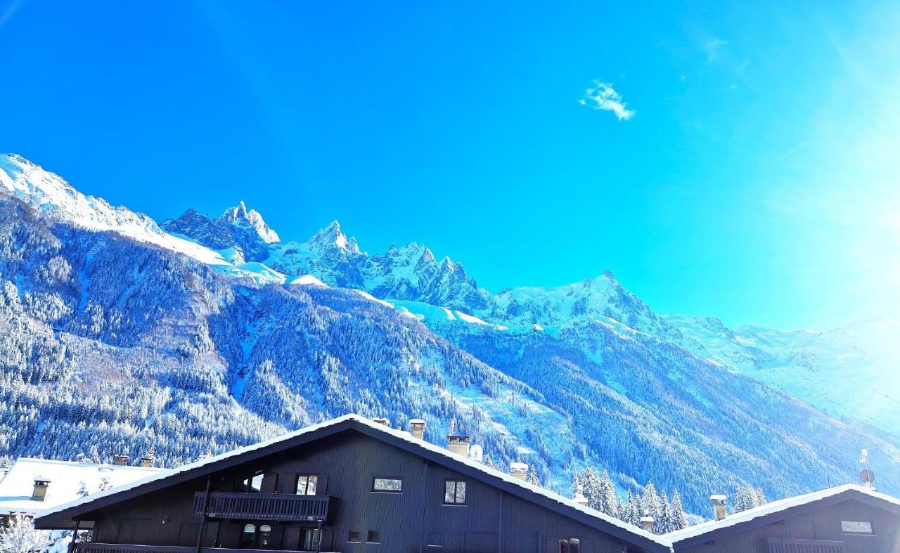 Chamonix Superbe Appartement Vue Mont Blanc エクステリア 写真